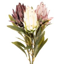 Artikel Protea Kunstblume Leucadendron 65cm 3St