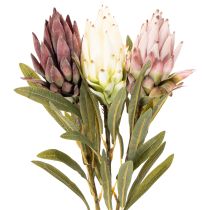 Artikel Protea Kunstblume Leucadendron 65cm 3St
