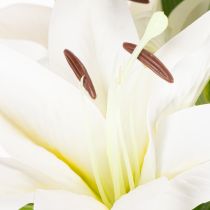 Artikel Lilien Kunstblume 6 weiße Blüten Realistischer Blütenzweig 66cm