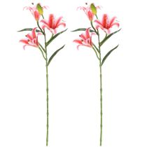 Artikel Kunstlilie für stilvolle Wohnzimmer Dekoration und realistischer Anmutung 67cm 2St