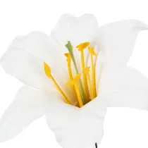 Artikel Kunstblume Lilie weiß am Draht Mittelgroß 35cm 5St