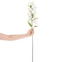 Artikel Künstliche Lilie weiß langer Blütenzweig dekorativ 80cm