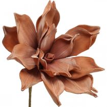 Lotusblume, Kunstpflanze, künstliche Lotusblüte Braun L64cm