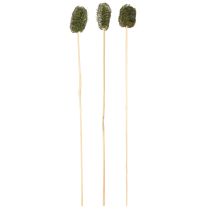 Artikel Luffa klein am Stiel Schwammgurke Dunkelgrün 5-7cm 25 St
