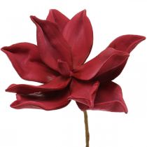Künstliche Magnolie Rot Kunstblume Foam Blumendeko Ø10cm 6St