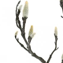 Frühling, Magnolienast mit Knospen, künstliche Dekozweig Braun, Weiß L100cm