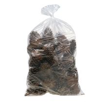 Artikel Maritima Zapfen 14/18 natur 25 St