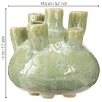 Artikel Maritime Deko Vase Korallen Design Hellgrün Ø14,5cm H14cm