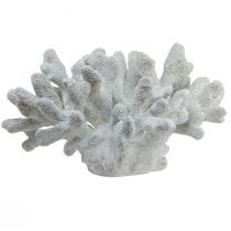 Artikel Maritime Deko Koralle Polyresin Weiß 38cm × 44cm × 27cm