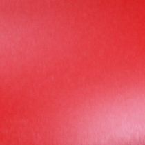 Artikel Markierspray in Rot Kreidefarbe Spray Montana 400ml