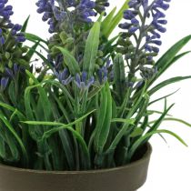 Artikel Mini-Lavendel im Topf Kunstpflanze Lavendel Deko H16cm