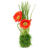 Artikel Mohn Rot im Gras 23cm