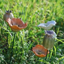 Artikel Mohnkapsel Deko Stab für saisonale Garten Eleganz oder Balkon Highlights 41cm 4St