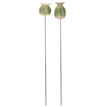 Artikel Mohnkapsel Gartenstecker Dekorationen für charmante Gartenarrangements 60cm 2St