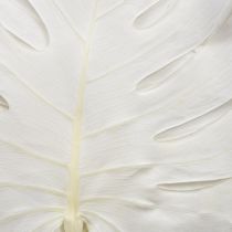 Artikel Monstera Blätter gebleicht Deko Fensterblatt H40cm 5 St