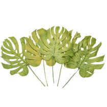 Artikel Dekorative Monstera-Blätter für Boho- und Urban-Jungle-Dekoration