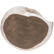 Artikel Dekogefäß in Schneckenform für maritime und natürliche Wandgestaltung grau 21cm