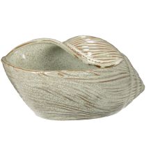 Artikel Keramik Schale Seeschnecke Design für elegante Dekoration im Wohnzimmer 23cm