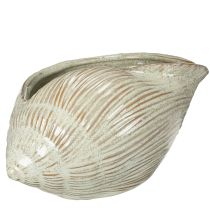 Artikel Keramik Schale Seeschnecke Design für elegante Dekoration im Wohnzimmer 23cm