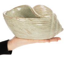 Artikel Keramik Schale Seeschnecke Design für elegante Dekoration im Wohnzimmer 23cm