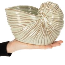 Artikel Blumentopf Schnecke Design Keramik für besondere Pflanzenarrangements 21cm