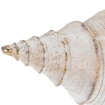 Artikel Dekorative Muschelform für stilvolle maritime Dekoration 44cm