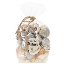 Artikel Schnecken und Muscheln Maritime Deko Akzente zur einzigartigen Raumverschönerung 500g