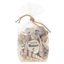 Artikel Muscheln und Schnecken Natürliche maritime Dekorationsartikel für eine stilvolle Raumgestaltung 500g