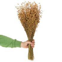 Artikel Natürlicher Flachs getrocknet Gräser für Trockenfloristik Linum Natur 60cm 180g