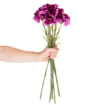 Artikel Nelke Kunstblume zweifarbig Langer Stiel 56cm Bund mit 8St