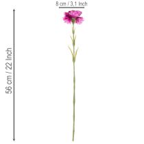 Artikel Nelke Kunstblume zweifarbig Langer Stiel 56cm Bund mit 8St