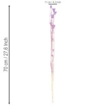 Artikel Trockenblumen Nigella Strauß Dekorative Nutzung im Wohnzimmer einzigartiges Ambiente schaffen 70cm 50g