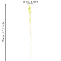 Artikel Trockenblumen Nigella bezaubernd natürliche Raumdekoration für zu Hause 70cm 50g