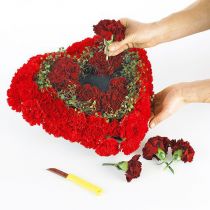 Artikel OASIS® Biolit® Herz klein 25cm 4 St