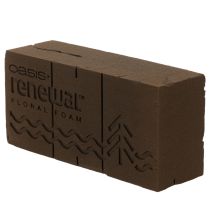 Artikel Oasis Renewal Steckschaum 23cm 1 Ziegel