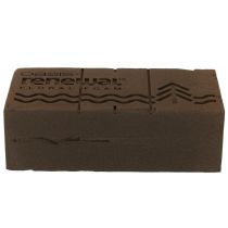 Artikel Oasis Renewal Steckschaum 23cm 1 Ziegel