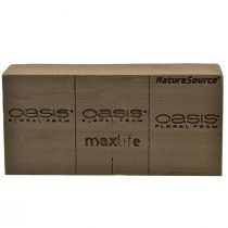 Artikel Oasis NatureSource Maxlife Steckschaum Ziegel Braun 23×11×7,5cm 1 St