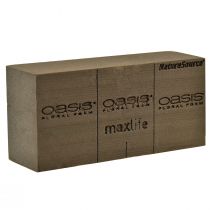 Artikel Oasis NatureSource Maxlife Steckschaum Ziegel Braun 23×11×7,5cm 1St