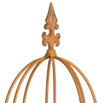 Artikel Rankgitter Garten Kletterhilfe für Rosen und andere Rankpflanzen ideale Gartengestaltung 108cm Set mit 2St