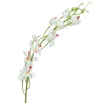 Orchidee Mokara Weiß 92cm 3St
