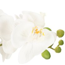Artikel Künstliche Orchidee im Topf für ein harmonisches Ambiente weiß 60cm