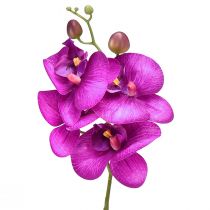 Floristik24 Orchidee Künstliche Phalaenopsis 4 Blüten Fuchsia 72cm
