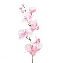 Floristik24 Orchidee Phalaenopsis künstlich 6 Blüten Rosa 70cm