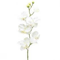 Floristik24 Orchidee Phalaenopsis künstlich 6 Blüten Weiß Creme 70cm