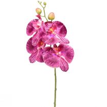 Floristik24 Orchidee geflammt Künstliche Phalaenopsis Violett 72cm
