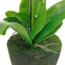 Artikel Künstliche Orchideen für den Topf Weiß 80cm