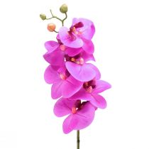 Floristik24 Künstliche Orchidee Phalaenopsis Orchidee Pink 78cm