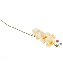 Artikel Künstliche Orchidee Creme Orange Phalaenopsis 78cm