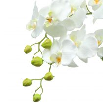 Artikel Orchidee Weiß auf Erdballen 118cm