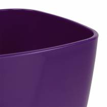 Artikel Orchideentopf Glänzend Ø12,5cm Violett